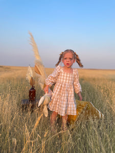 Lyla's Fairy tale dress